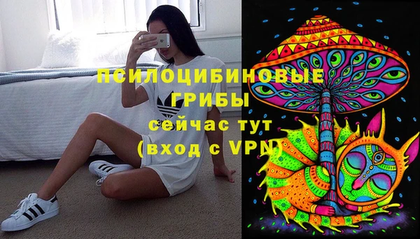 бутират Белокуриха